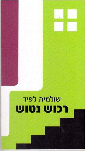 רכוש נטוש /שולמית לפיד