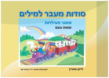 סודות מעבר למילים-מאגר פעילויות שמות עצם/ליזון שוורץ